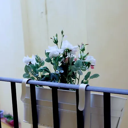 Apartmán Santa Reparata *